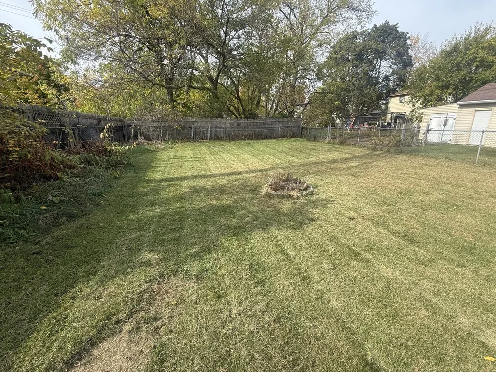 Top-rated lawn care service for year-round maintenance in Eaton Rapids, MI by Not Just Landscaping