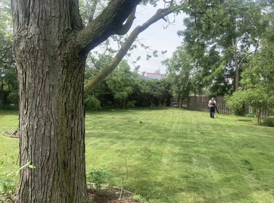 Trusted landscape installation in Eaton Rapids, MI - Not Just Landscaping