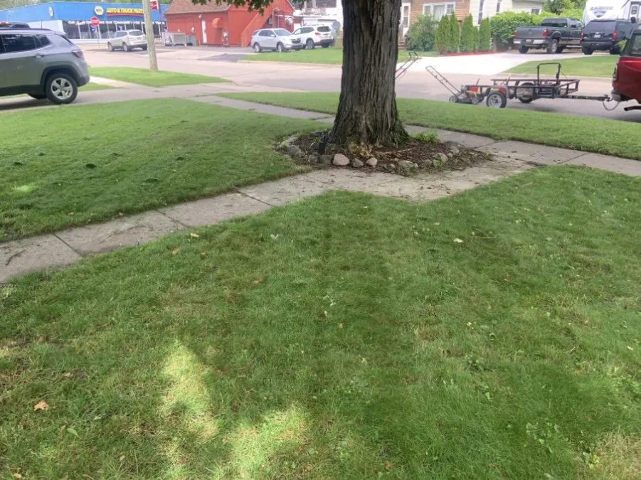 Top-rated lawn care service for year-round maintenance in Eaton Rapids, MI by Not Just Landscaping