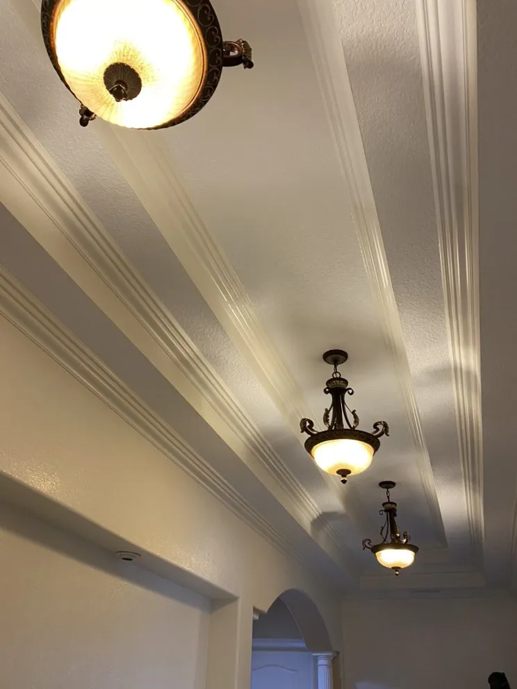 Top-rated lawn care service in Groveland, FL - Not Just Paint