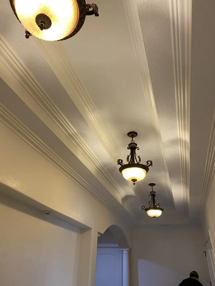 Expert yard maintenance in Groveland, FL - Not Just Paint