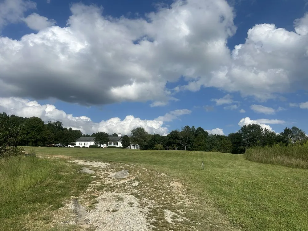 Local residential landscaping for residential properties across Laurens, SC - Not Like Us Grass & More
