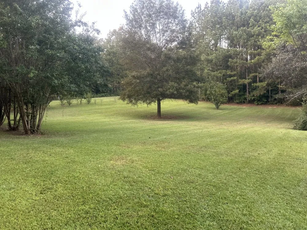 Professional outdoor landscaping in Laurens, SC - Not Like Us Grass & More