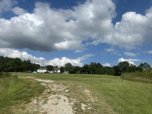 Not Like Us Grass & More Logo