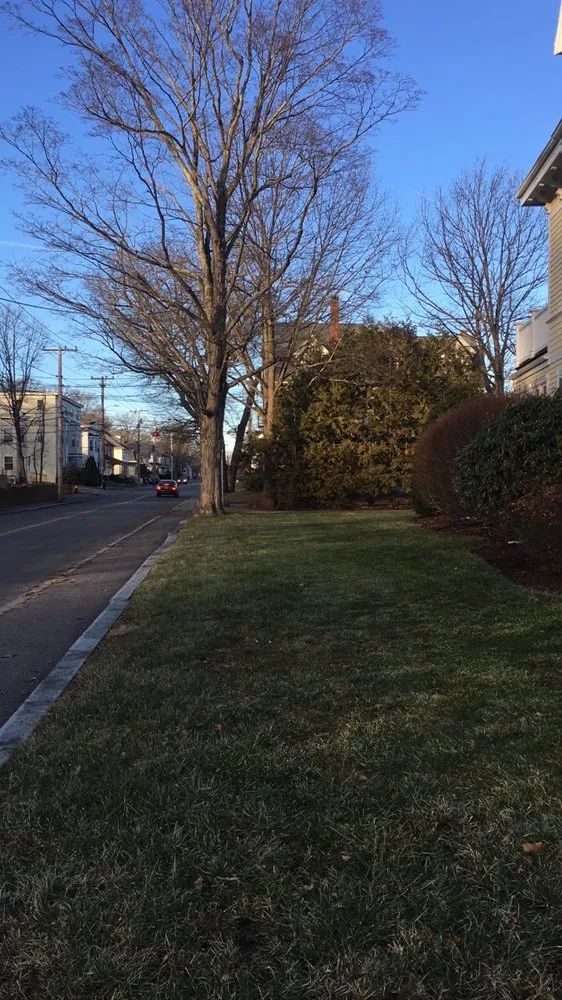 Custom garden landscaping experts serving Plainville, MA - Not Your Average Dads Lawn and Landscaping Services