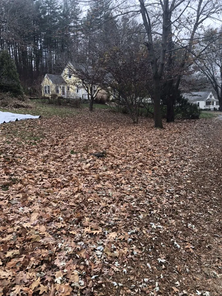 Top-rated garden landscaping experts serving Plainville, MA - Not Your Average Dads Lawn and Landscaping Services