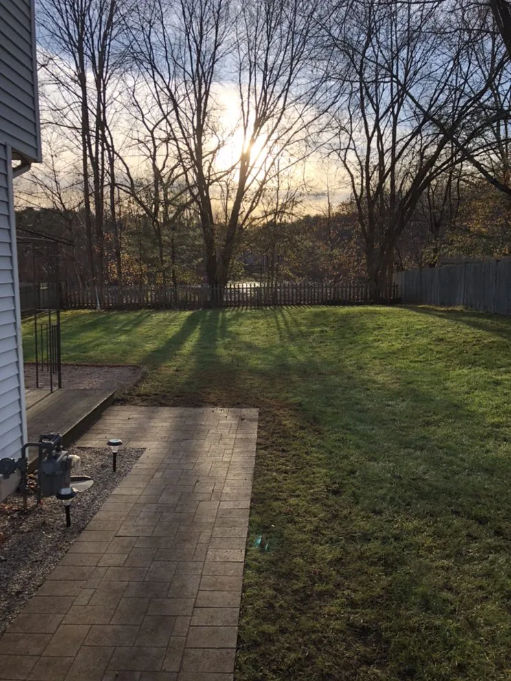 Expert residential landscaping experts serving Plainville, MA - Not Your Average Dads Lawn and Landscaping Services