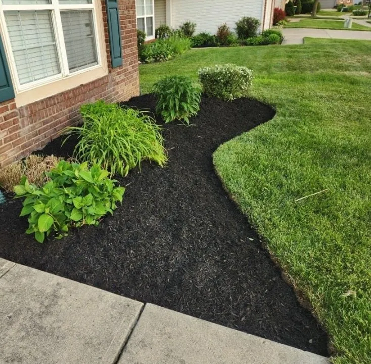 Top-rated yard maintenance in Indianapolis, IN by Not Your Average Handyman Service, LLC