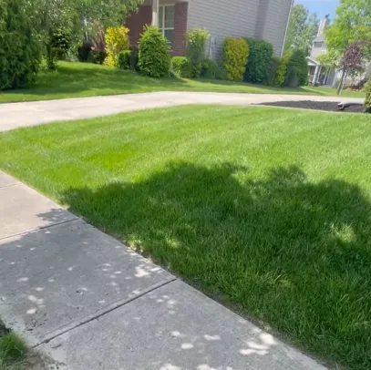 Local lawn mowing service experts serving Indianapolis, IN - Not Your Average Handyman Service, LLC