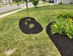 Local garden landscaping experts serving Indianapolis, IN - Not Your Average Handyman Service, LLC