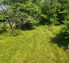 Reliable yard maintenance in Indianapolis, IN by Not Your Average Handyman Service, LLC