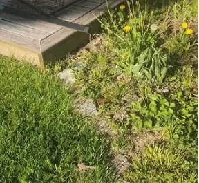 Professional yard maintenance for residential properties in Indianapolis, IN by Not Your Average Handyman Service, LLC