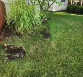 Trusted residential landscaping experts serving Indianapolis, IN - Not Your Average Handyman Service, LLC