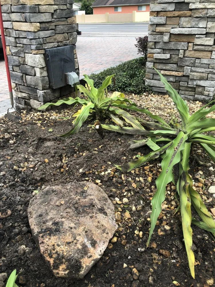 Affordable residential landscaping for homes across DeLand, FL - Notable Nature