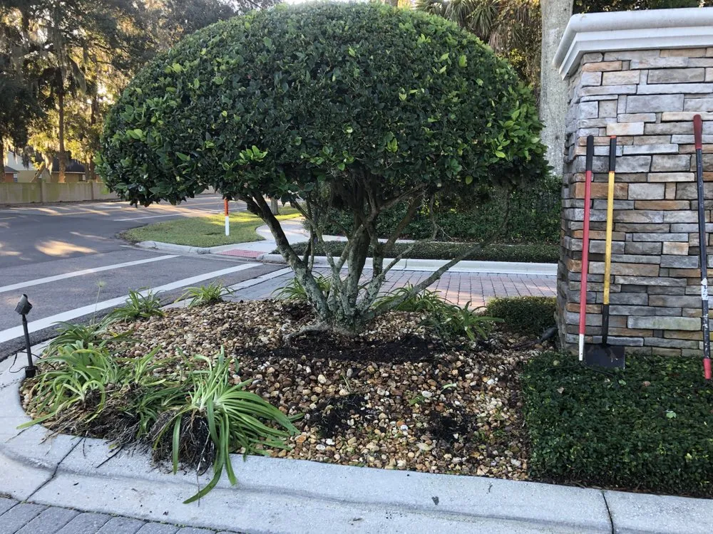 Trusted lawn care service for year-round maintenance in DeLand, FL by Notable Nature