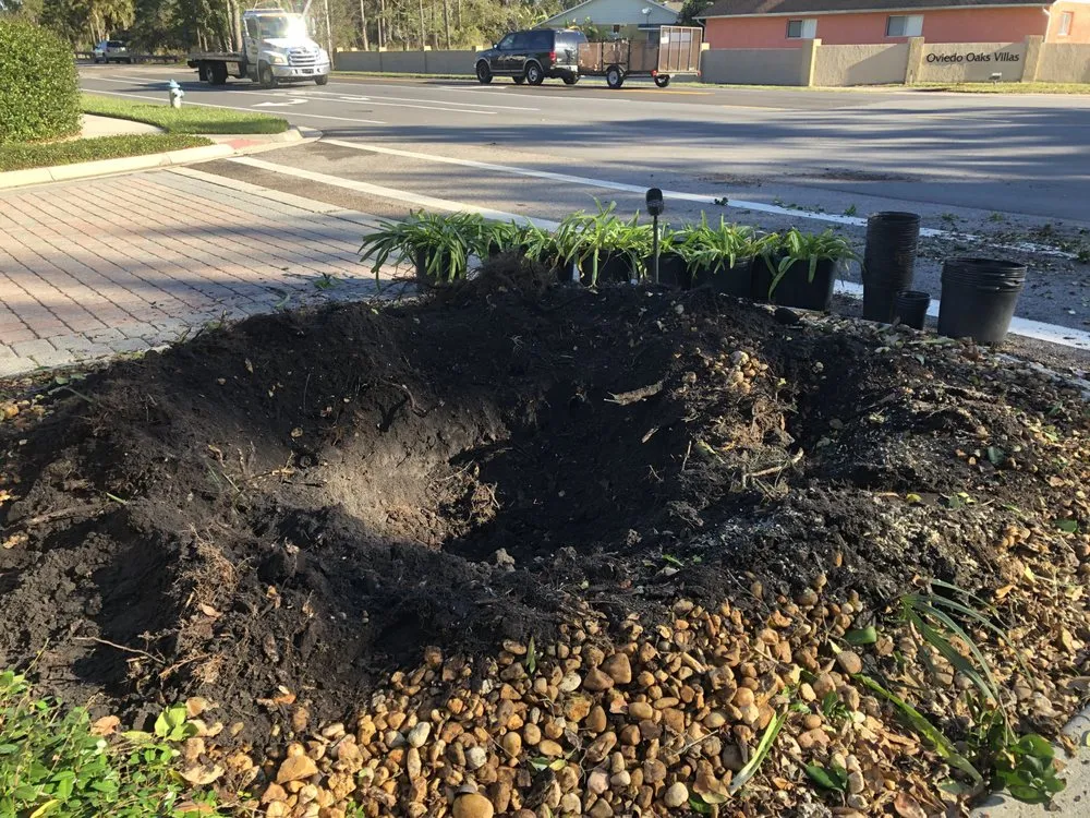 Expert landscape design in DeLand, FL - Notable Nature