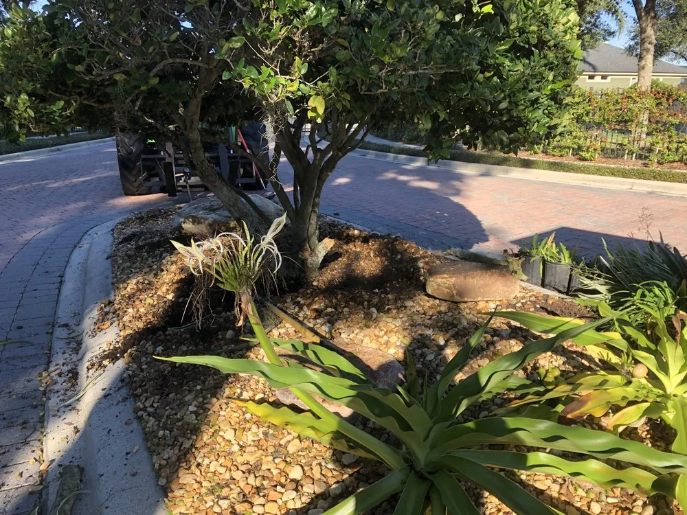 Local residential landscaping in DeLand, FL - Notable Nature