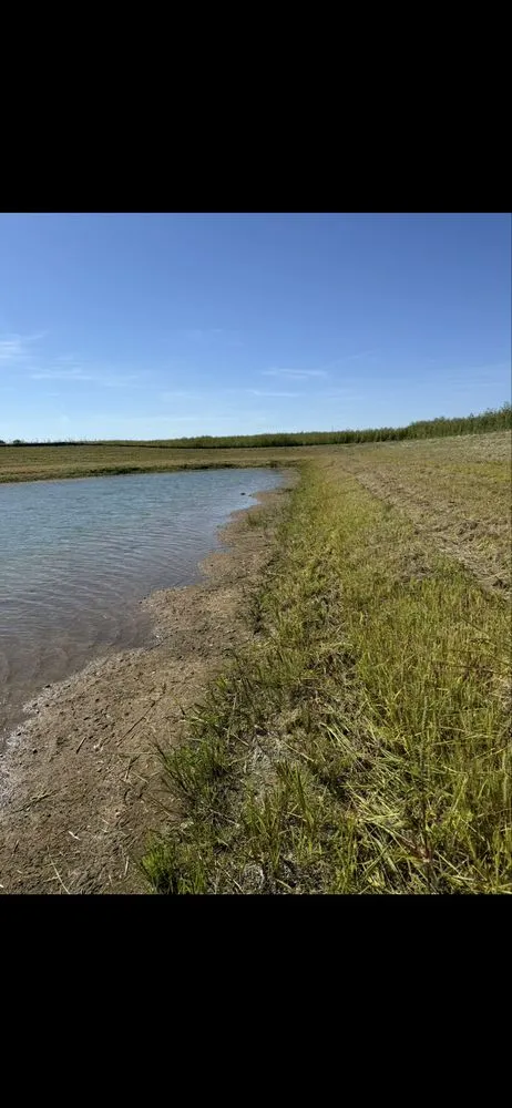Affordable residential landscaping for homes across Lebanon, IN - Notch Above Lawn Care