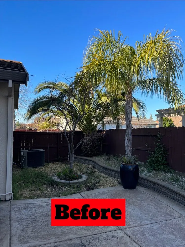 Professional outdoor landscaping experts serving Roseville, CA - Notorious outdoor design