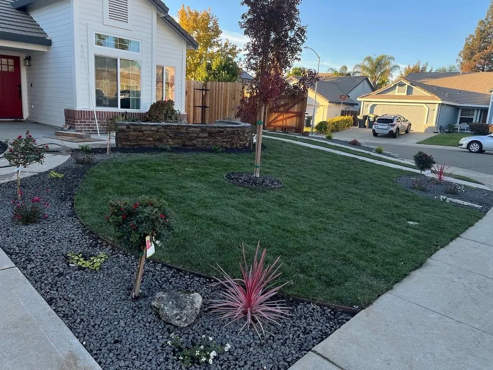 Reliable lawn mowing service experts serving Roseville, CA - Notorious outdoor design