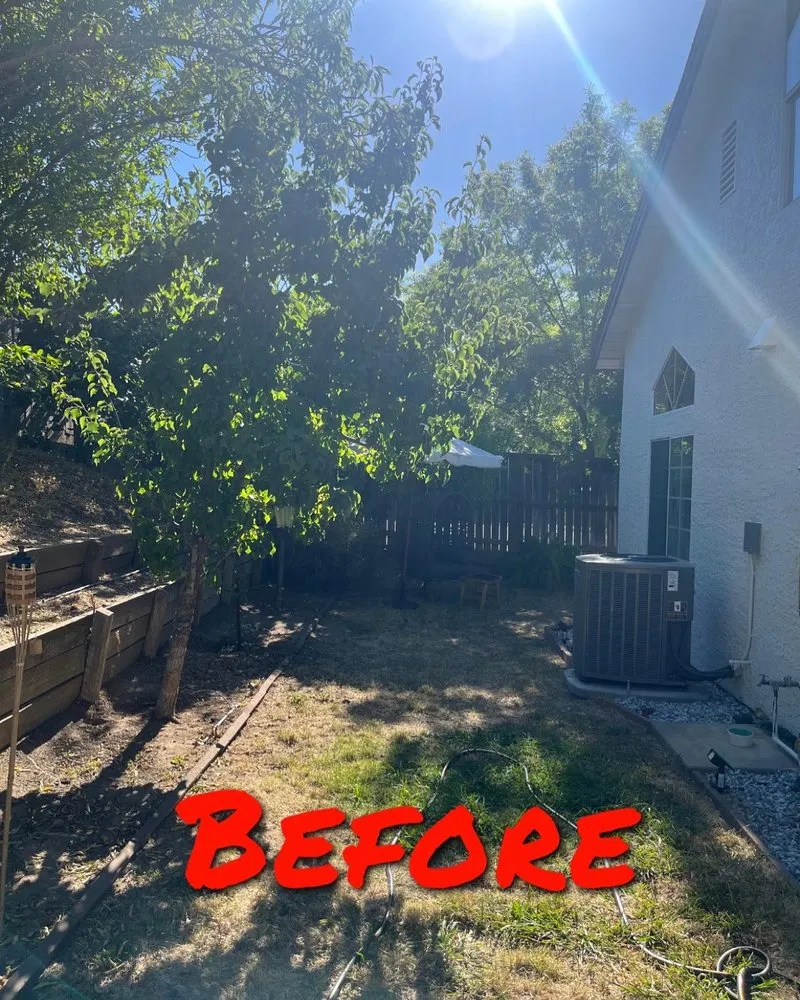 Top-rated yard maintenance for year-round maintenance in Roseville, CA by Notorious outdoor design