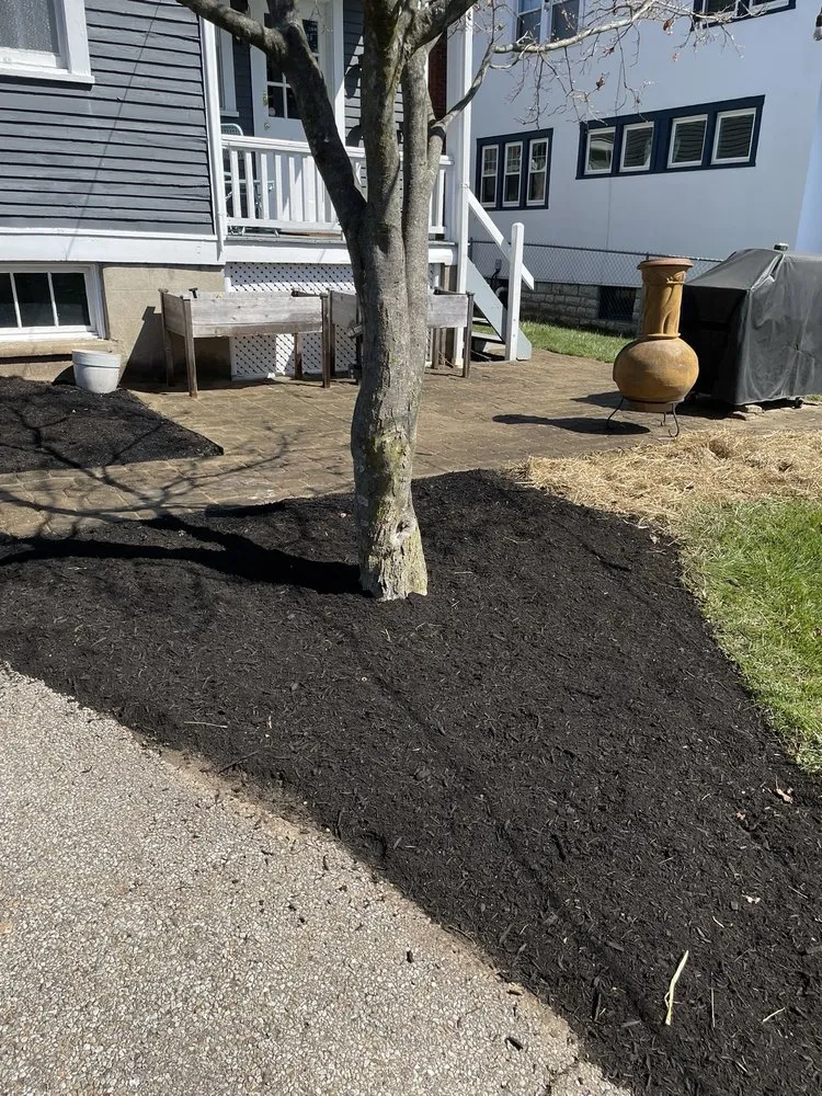 Trusted lawn care service in Cincinnati, OH by Nottingham Estate Landscaping