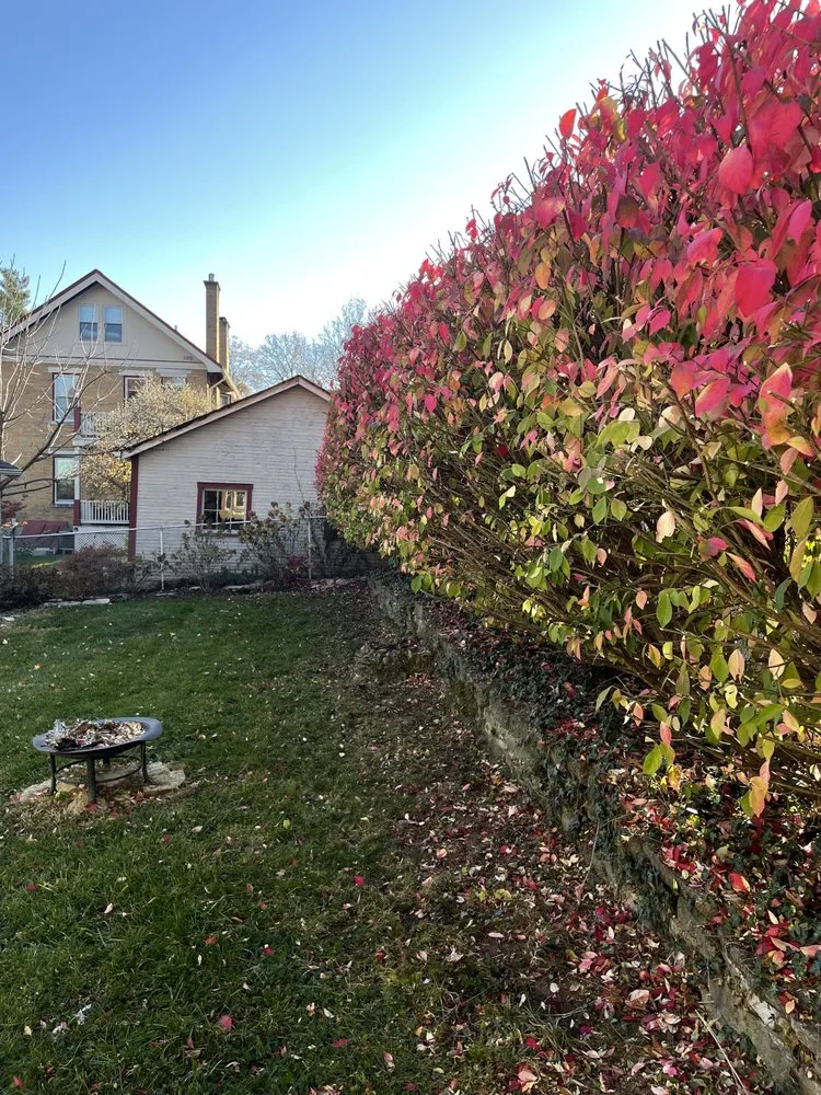 Top-rated yard cleanup service experts serving Cincinnati, OH - Nottingham Estate Landscaping