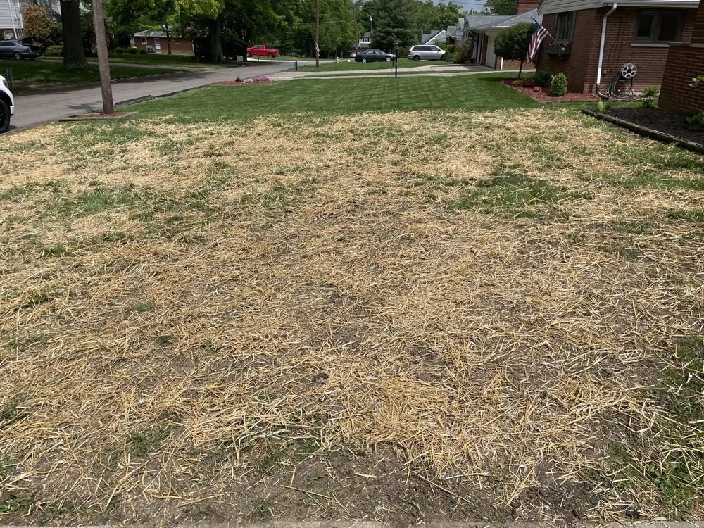 Local lawn care service in Cincinnati, OH by Nottingham Estate Landscaping