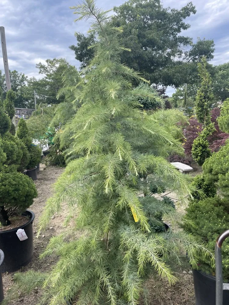 Trusted landscaping services experts serving Cincinnati, OH - Nottingham Estate Landscaping