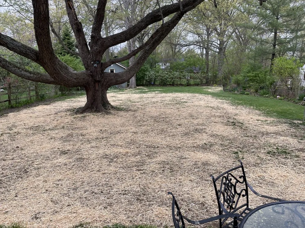 Expert outdoor landscaping in Cincinnati, OH by Nottingham Estate Landscaping