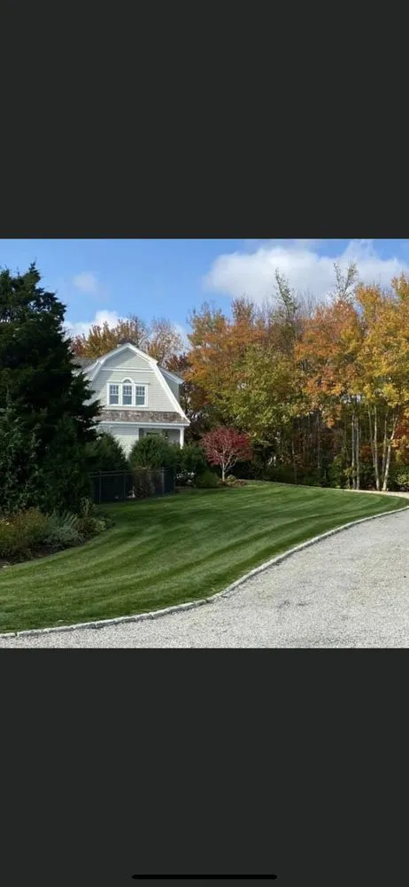 Trusted yard cleanup service in Abington, MA - Noun Property Maintenance
