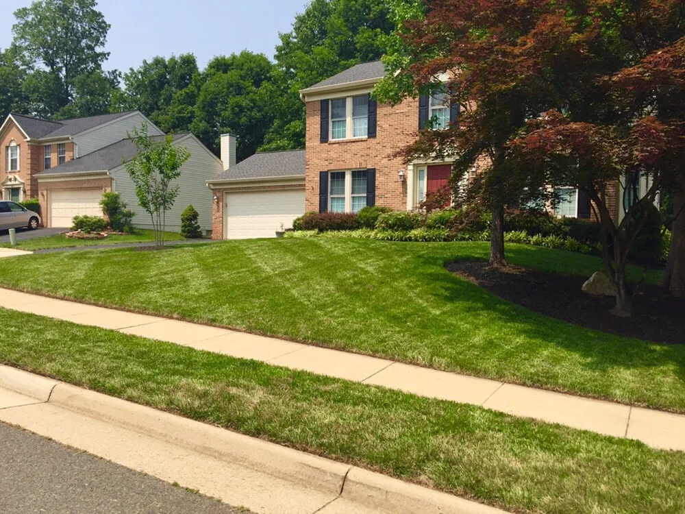 Local yard cleanup service for outdoor upgrades in Centreville, VA by Nova Green Lawn and Landscapes