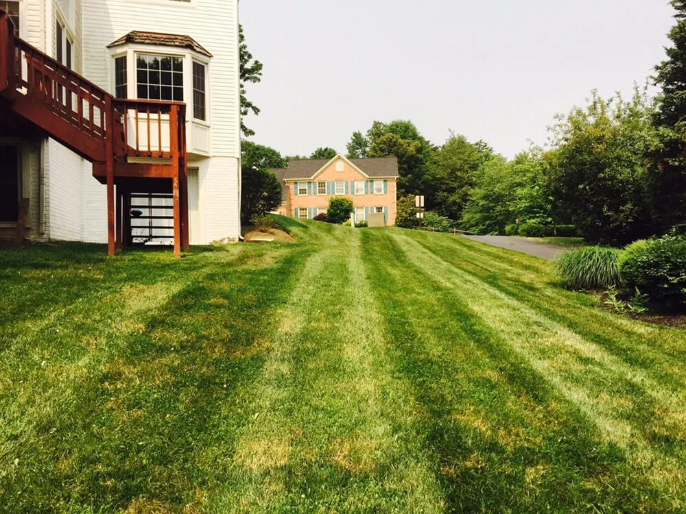 Trusted landscaping services experts serving Centreville, VA - Nova Green Lawn and Landscapes