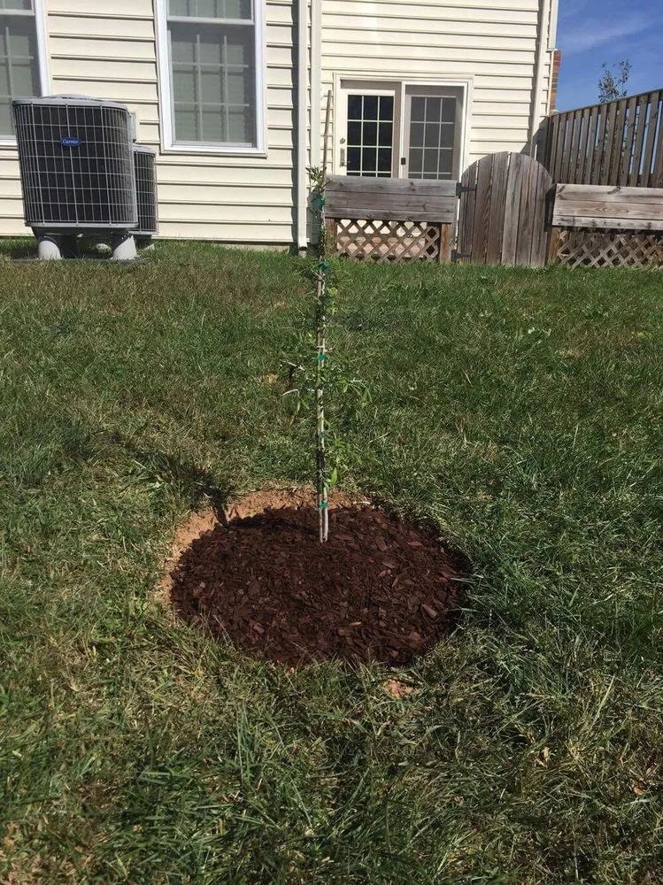 Trusted landscaping services experts serving Centreville, VA - Nova Green Lawn and Landscapes