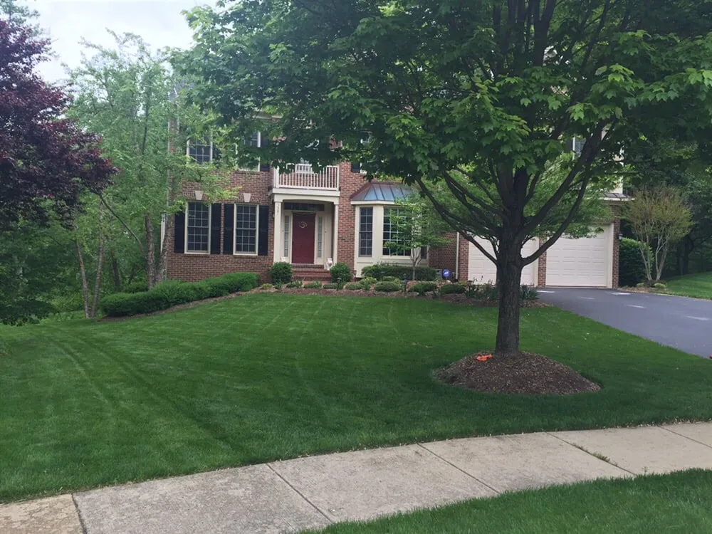 Reliable landscape design in Centreville, VA by Nova Green Lawn and Landscapes
