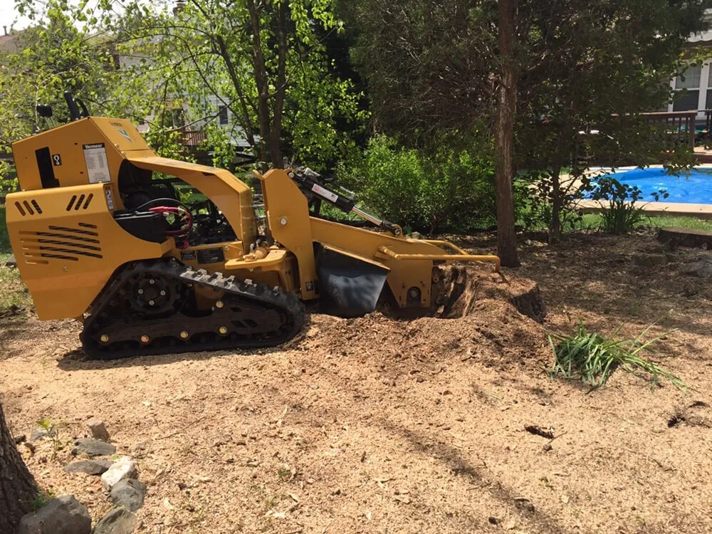 Expert landscaping services near you across Centreville, VA - Nova Green Lawn and Landscapes