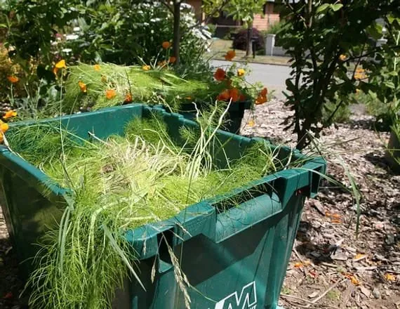 Affordable lawn mowing service in Norwalk, CT - Nova Landscaping & Masonry Services