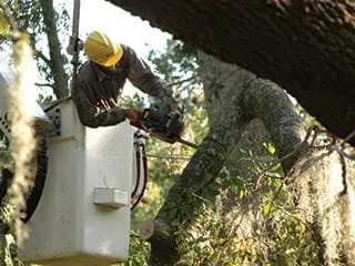 Custom landscape design for year-round maintenance across Norwalk, CT - Nova Landscaping & Masonry Services