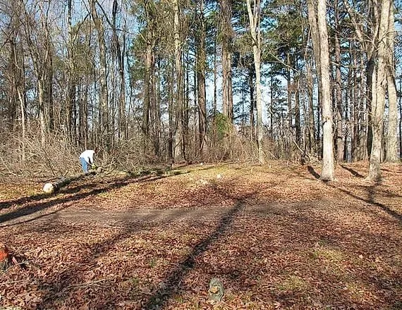 Expert lawn care service experts serving Norwalk, CT - Nova Landscaping & Masonry Services