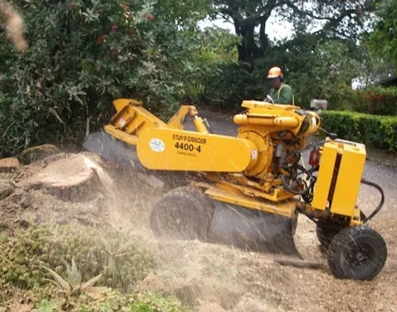 Professional lawn care service in Norwalk, CT by Nova Landscaping & Masonry Services