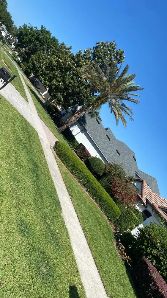 Reliable landscape installation for homes in Apopka, FL by Nova Landscaping