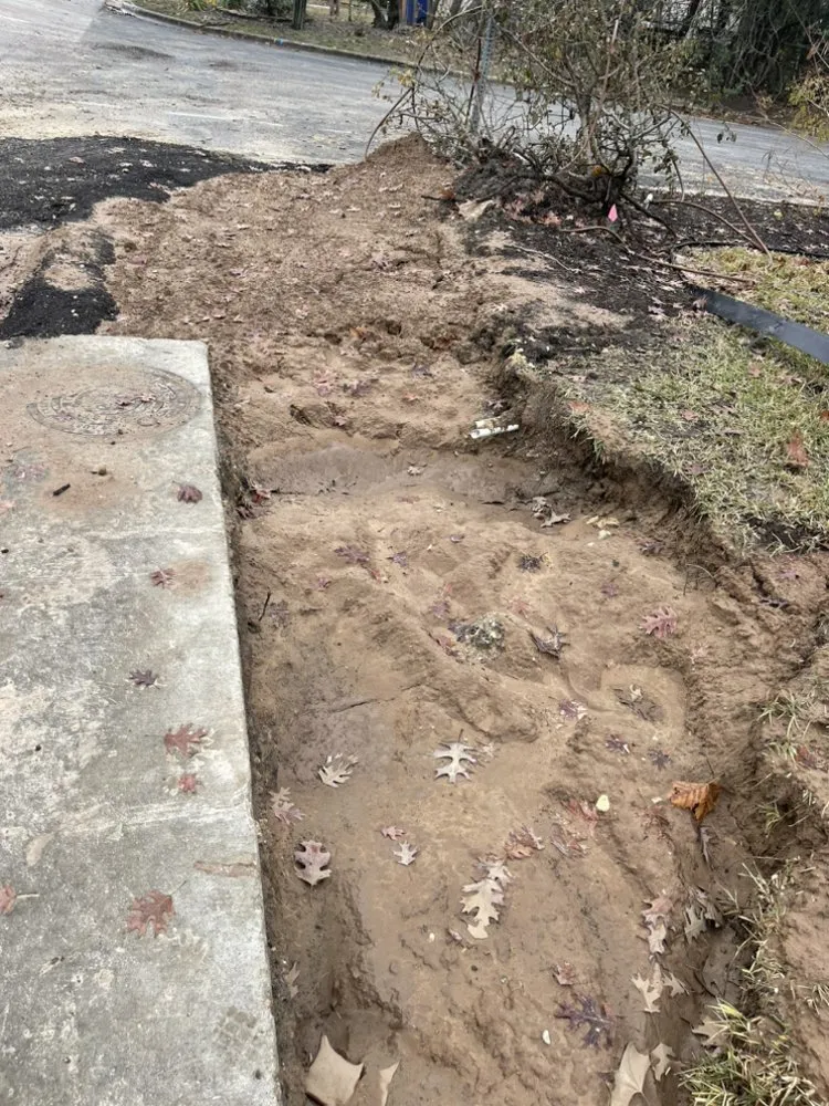 Reliable lawn care service experts serving Hutto, TX - Nova Lawn Care