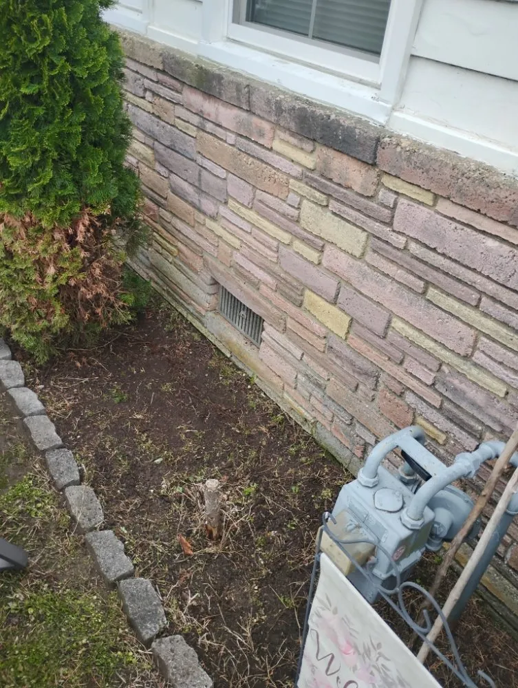 Trusted yard maintenance in Richmond, VA by Nova Metro Lawn Care