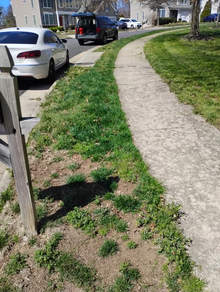 Custom landscape design experts serving Richmond, VA - Nova Metro Lawn Care