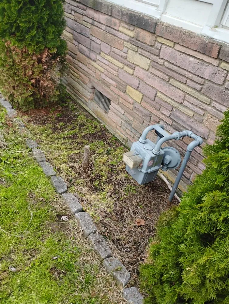 Local landscaping services in Richmond, VA - Nova Metro Lawn Care