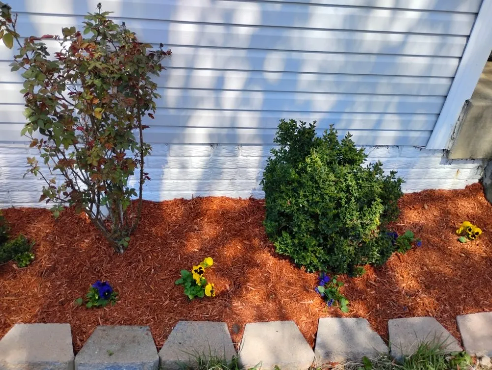 Expert landscaping services experts serving Richmond, VA - Nova Metro Lawn Care