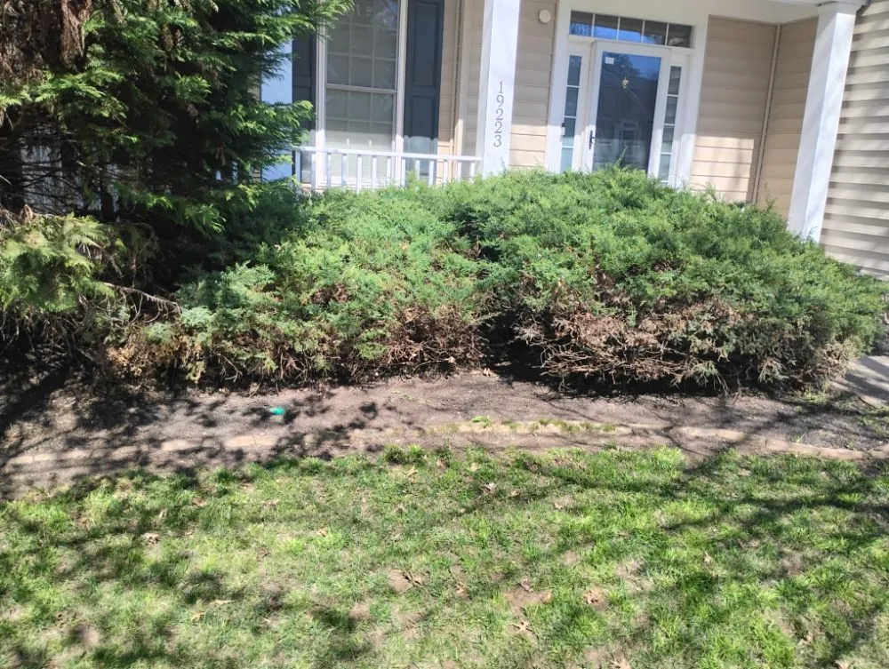 Reliable landscape installation with custom design across Richmond, VA - Nova Metro Lawn Care