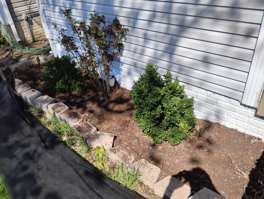 Top-rated lawn mowing service in Richmond, VA by Nova Metro Lawn Care