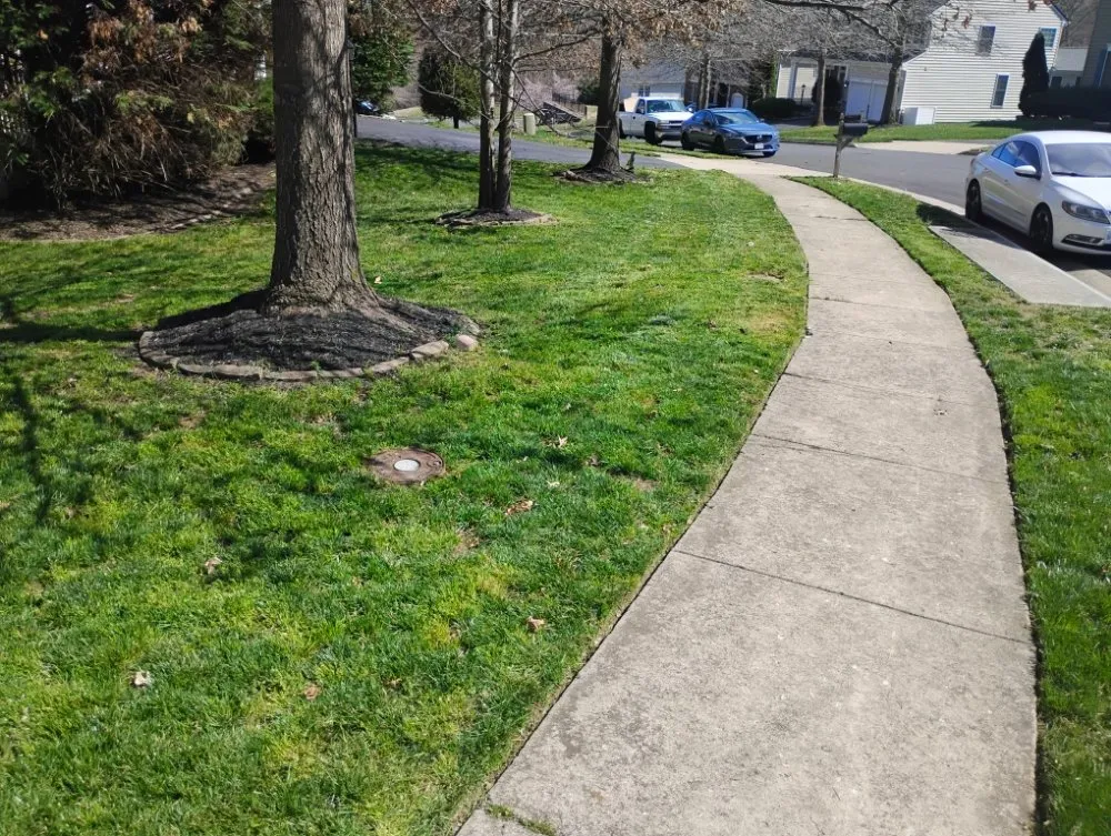 Trusted yard cleanup service with custom design across Richmond, VA - Nova Metro Lawn Care