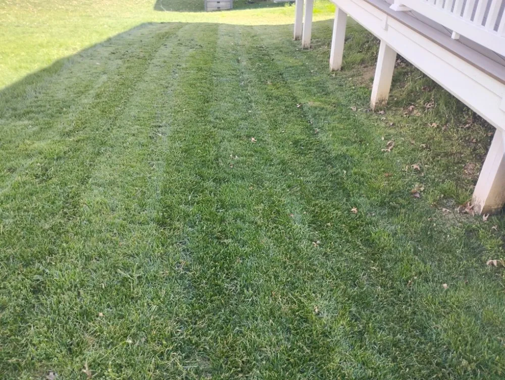 Professional garden landscaping experts serving Richmond, VA - Nova Metro Lawn Care